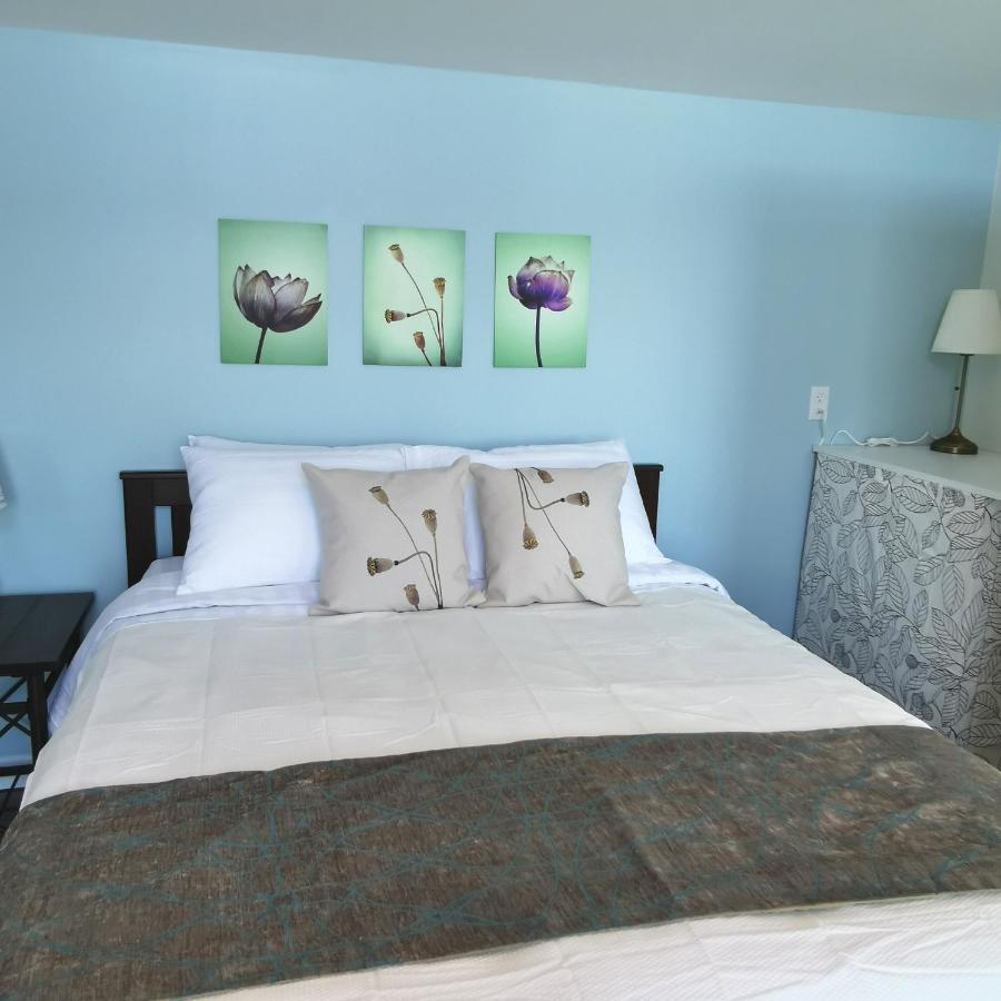 Knotty Pine Ocean Front Suite - Adults Only Ingonish Exteriör bild